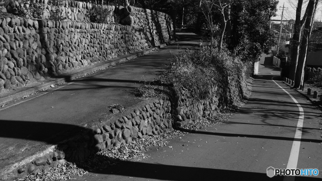 tokyo monochrome# (1146)