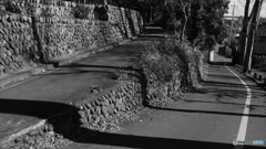 tokyo monochrome# (1146)