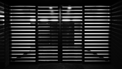 quiet color#233