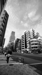 tokyo monochrome#554