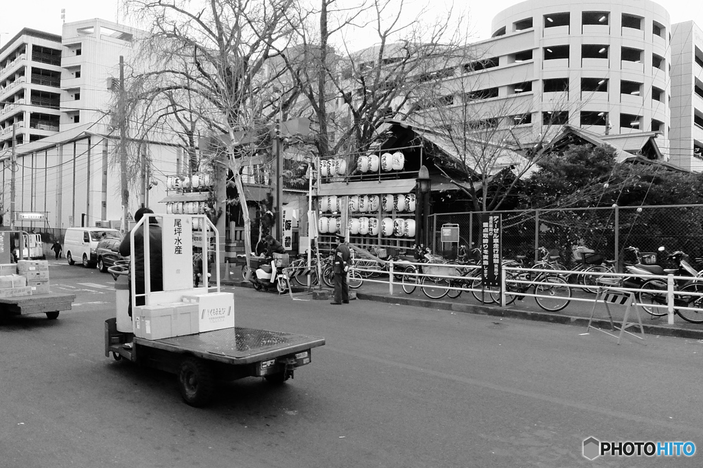 tokyo monochrome#892