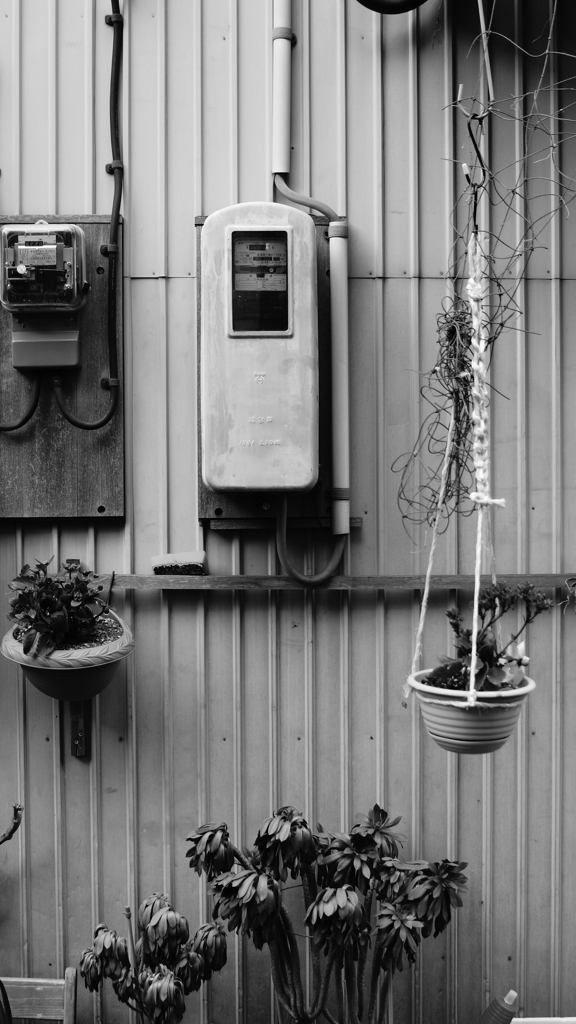 quiet color#268
