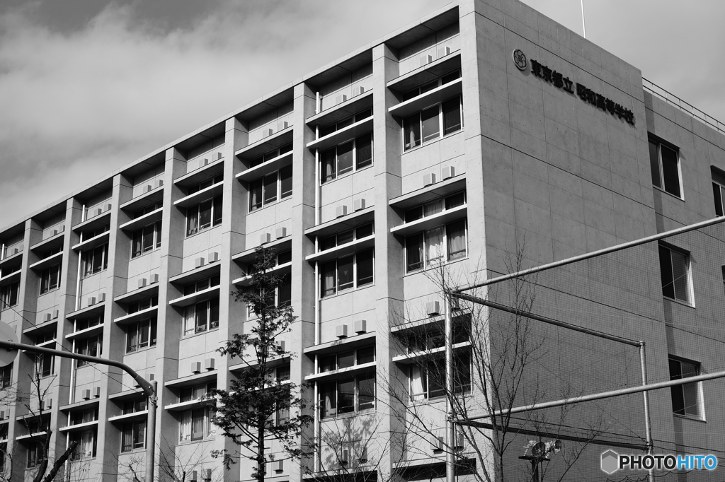 Tokyo monochrome# (1259)