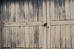 quiet color#39