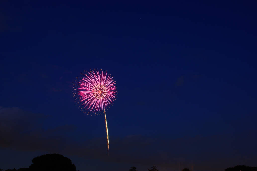 20160730　昭和記念公園花火大会　24-70mm (14)