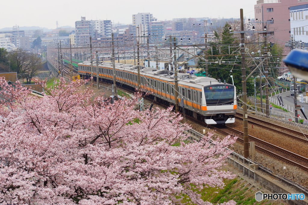 立川－日野間にて。３