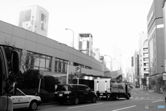 tokyo monochrome# (1557)