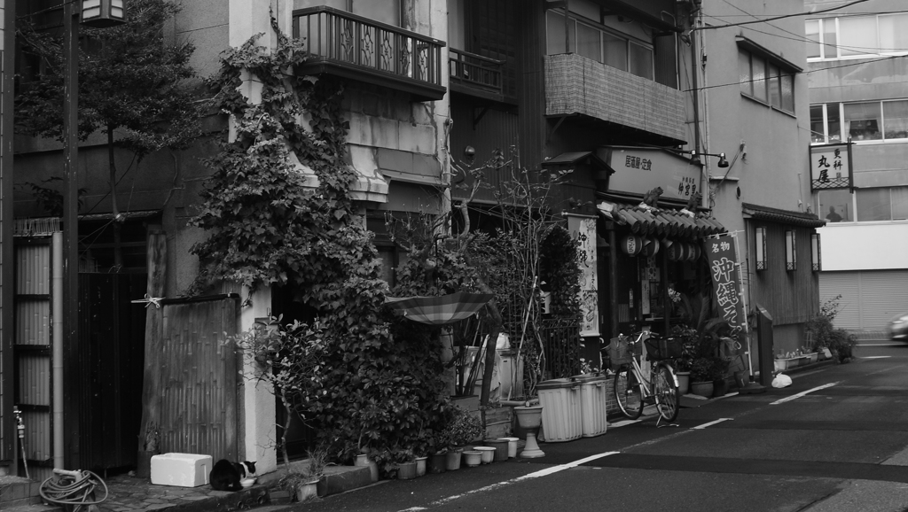 tokyo monochrome#508