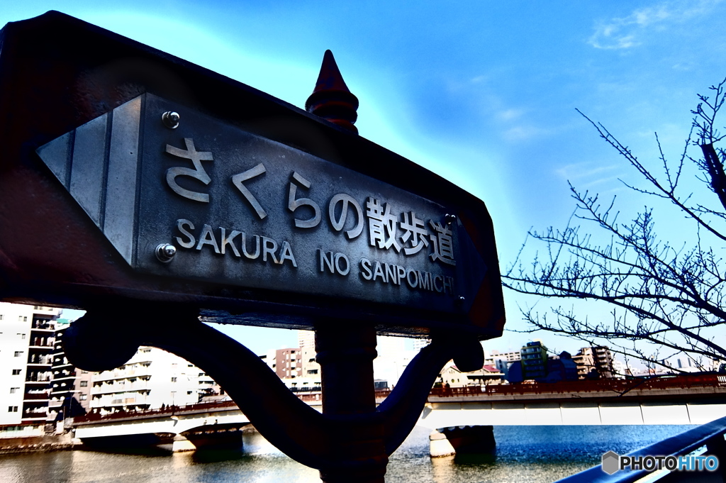 street coner illusion (181)