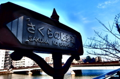 street coner illusion (181)