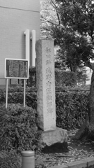 この物語の季節