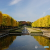 20151107昭和記念公園 (8)