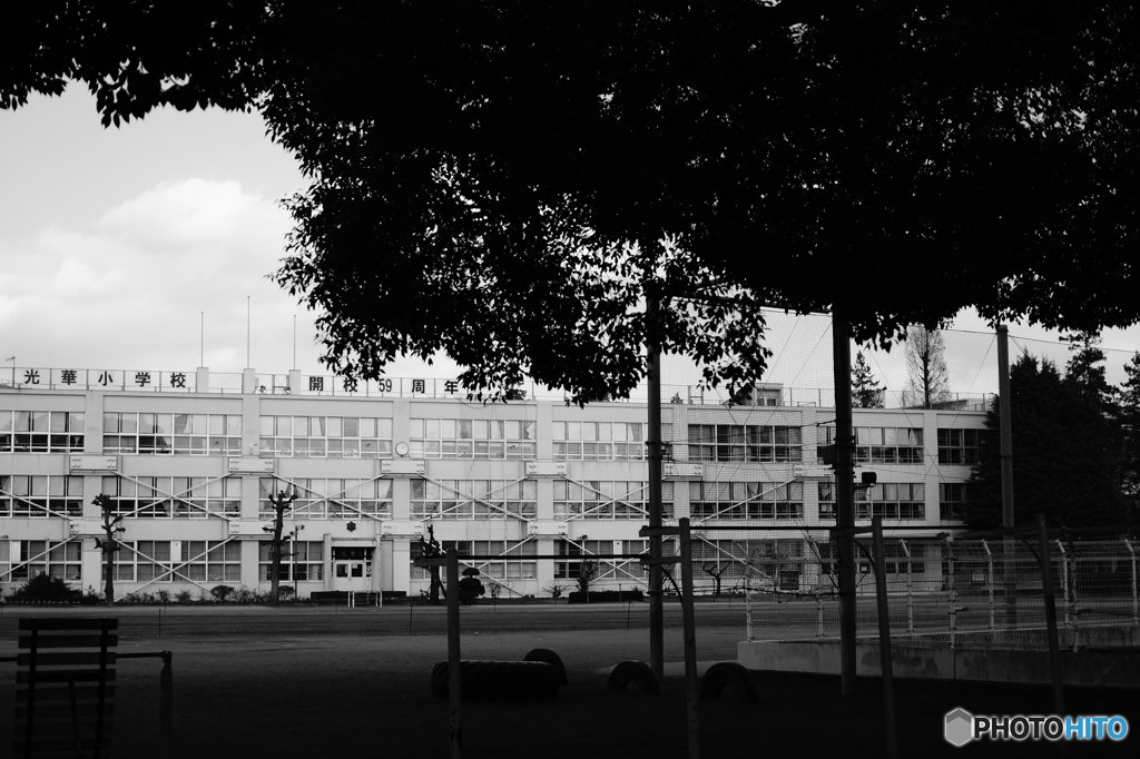 Tokyo monochrome# (1265)