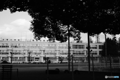 Tokyo monochrome# (1265)
