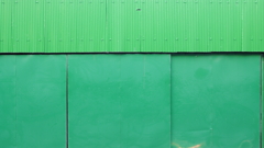 quiet color#205