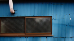 quiet color#237