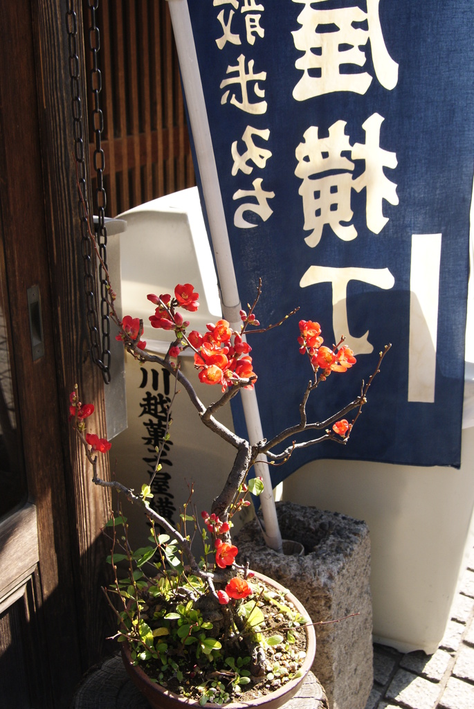 川越　菓子屋横丁