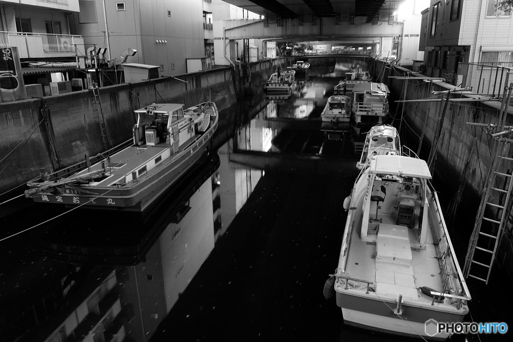 tokyo monochrome# (1389)