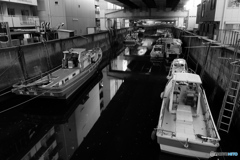 tokyo monochrome# (1389)