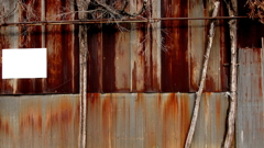 quiet color#343