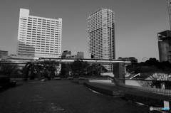 Tokyo monochrome# (1214)
