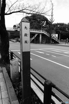 tokyo monochrome# (1179)