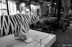 tokyo monochrome (1341)