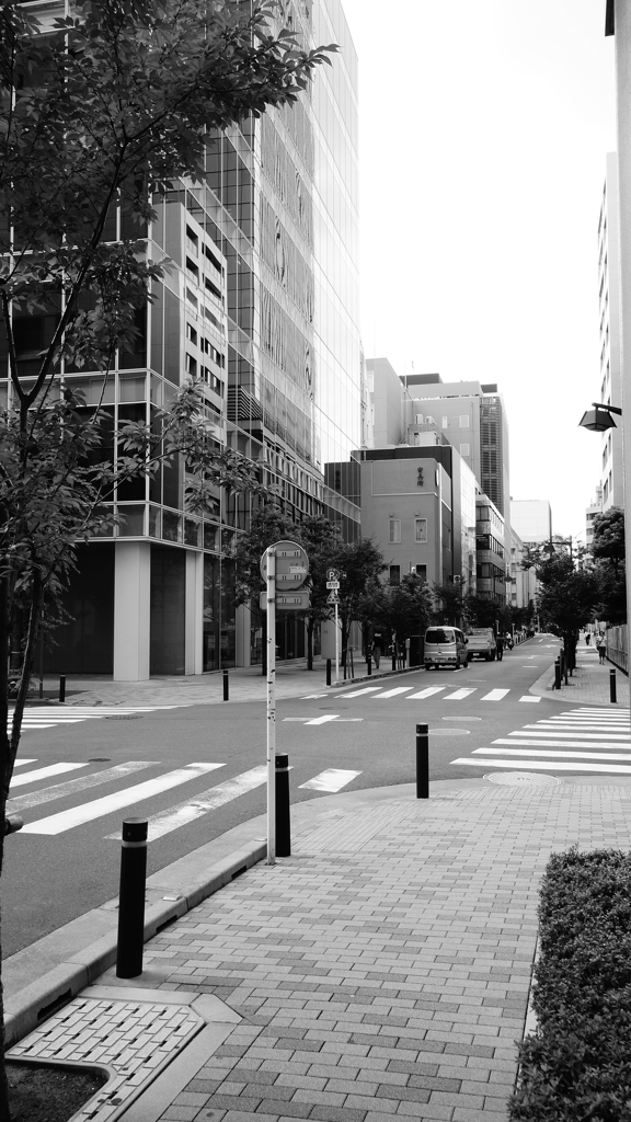 tokyo monochrome#563