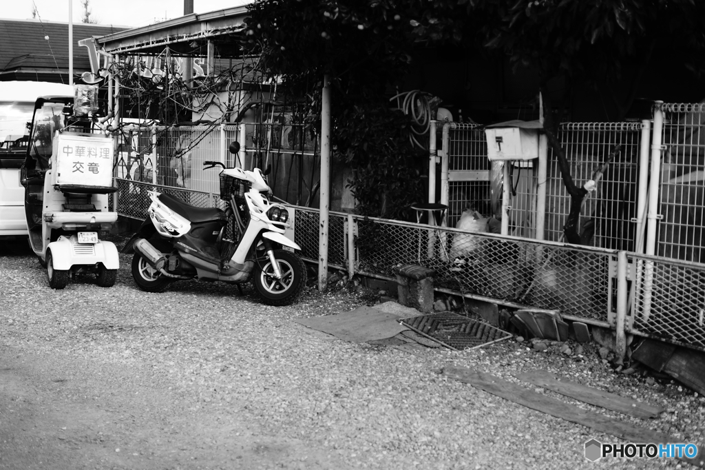 Tokyo monochrome# (1280)