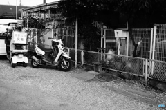 Tokyo monochrome# (1280)