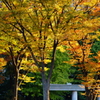 和田倉噴水公園