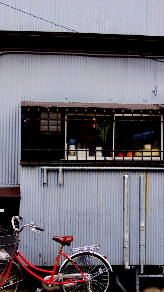 quiet color#260