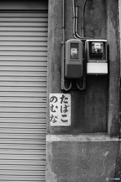 quiet color#954