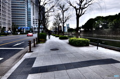 street coner illusion (309)