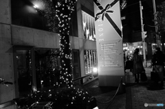 Tokyo monochrome# (1220)