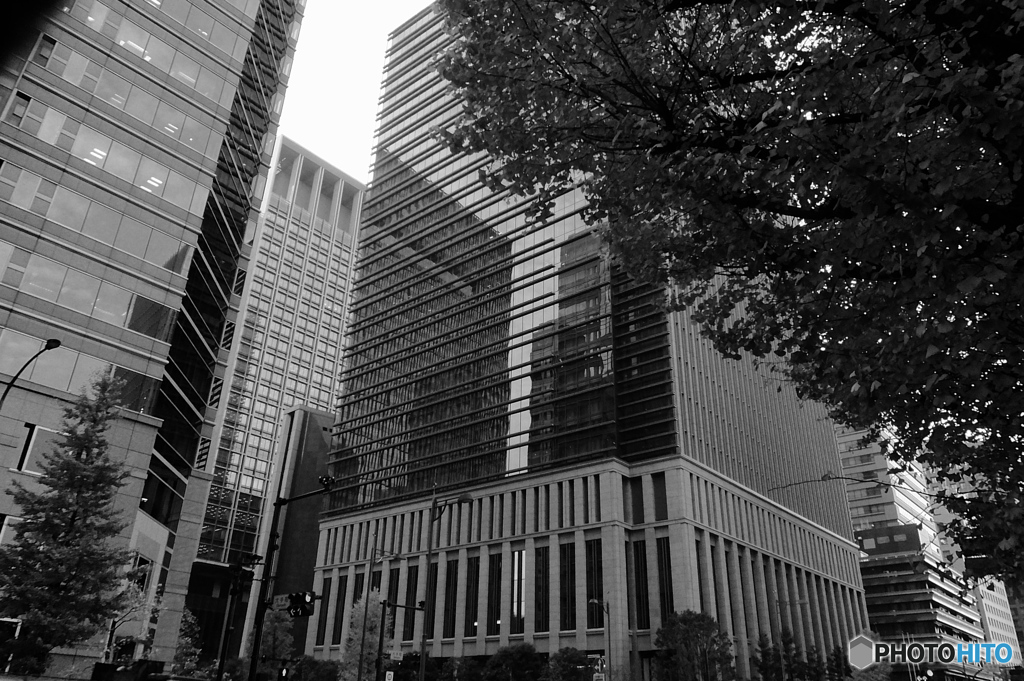 Tokyo monochrome# (1211)