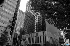 Tokyo monochrome# (1211)