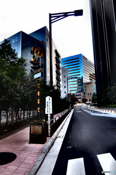 street coner illusion (137)