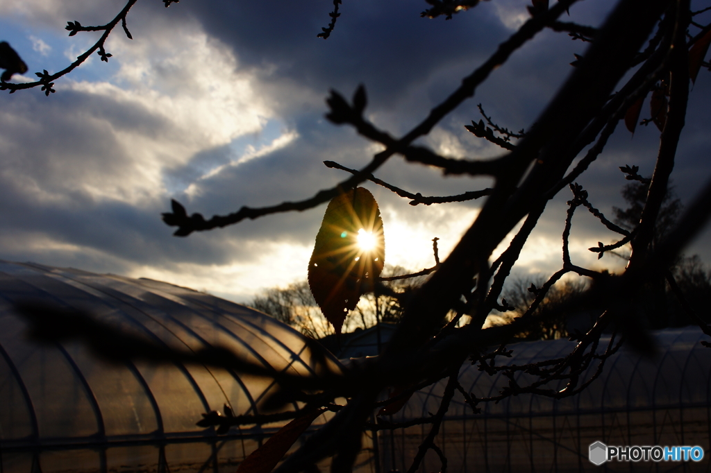 太陽、捉えた。