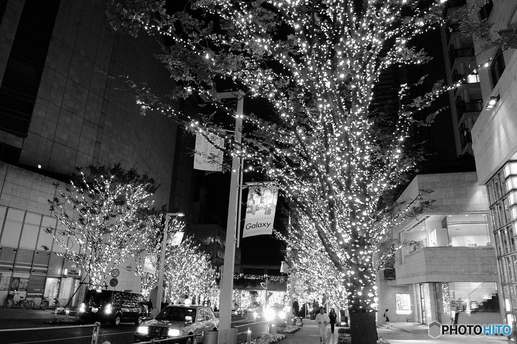 tokyo monochrome#784