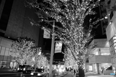 tokyo monochrome#784
