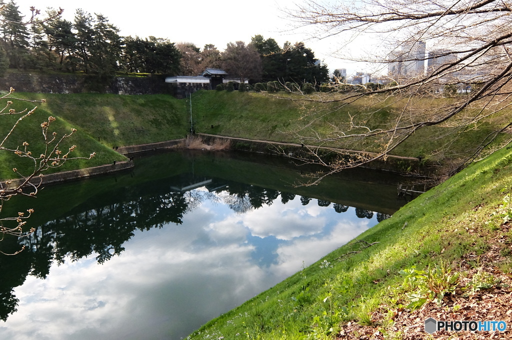 マイ桜ポイントNO1