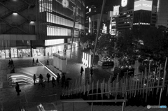 tokyo monochrome#841