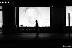 tokyo monochrome# (1059)