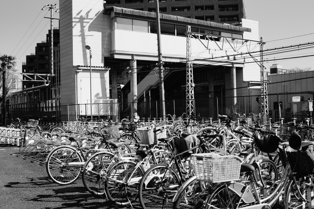 tokyo monochrome#115