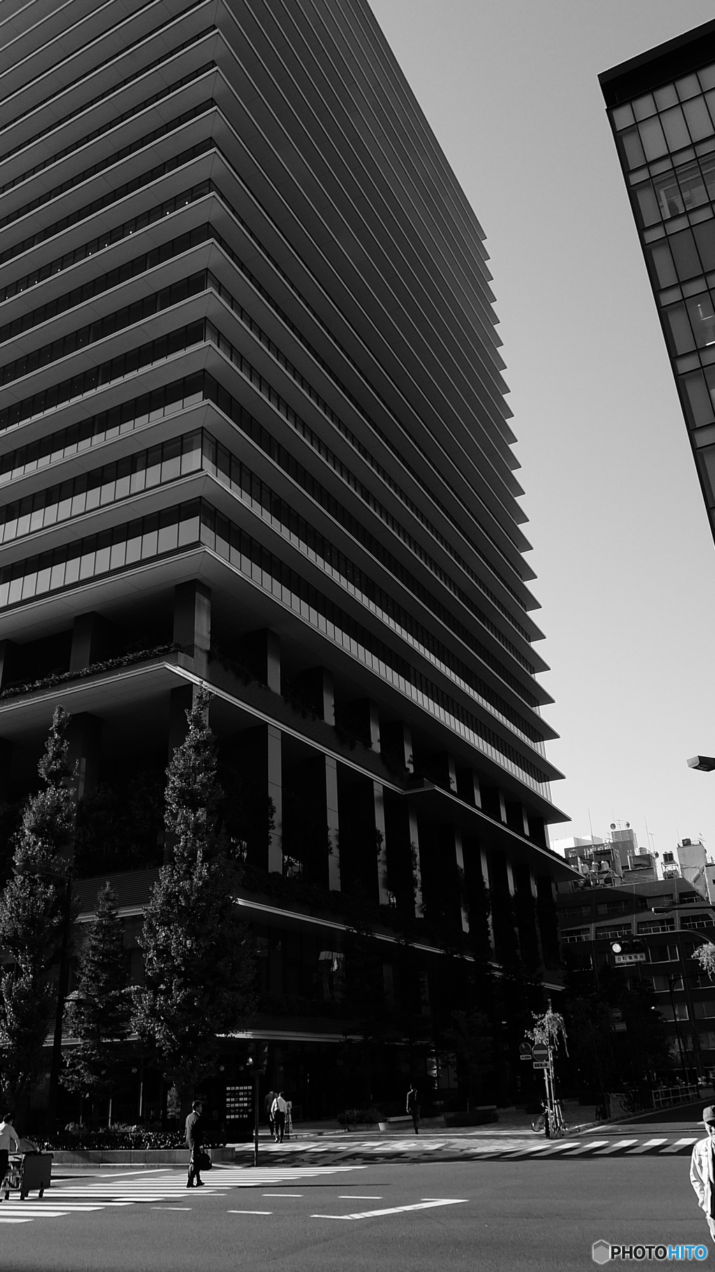 tokyo monochrome#818