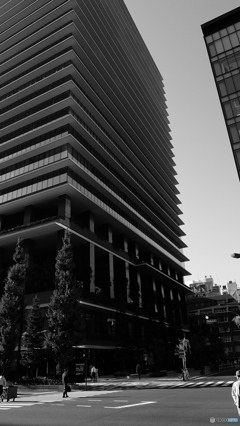 tokyo monochrome#818