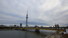 隅田川　桜橋