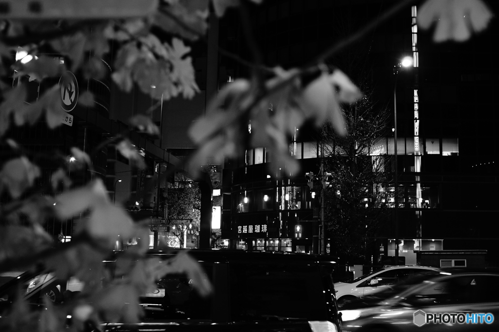 Tokyo monochrome# (1245)