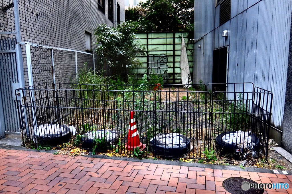 street corner illusions#105